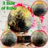 Coconut Shell Rahu Eat Moon Gambling Win Money Watsrisatong Thai Amulet #16813